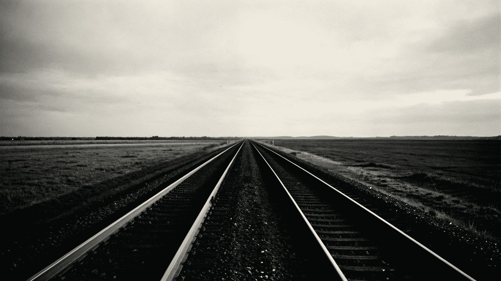 Two parallel railway tracks curving away into fog with one track overgrown, an image of a process that was designed but never finished